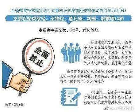 2025港澳资料免费大全;警惕虚假宣传-精选解析解释落实