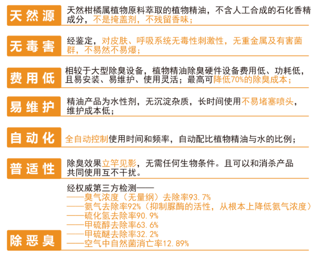 新澳2025正版全年谒后语,详细解答、解释与落实