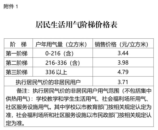 新澳门免费精准大全2025，词语释义解释落实